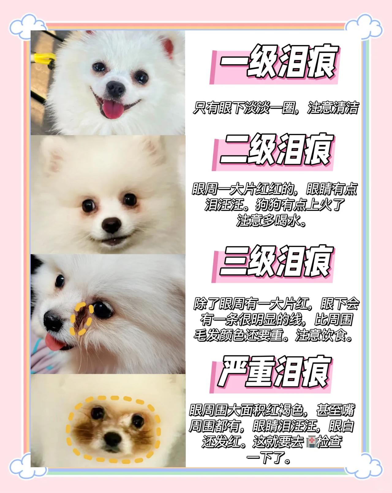 狗哭是什么征兆(家里狗哭是什么征兆)