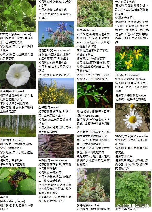 冷知识大全(鬼灭之刃冷知识大全)