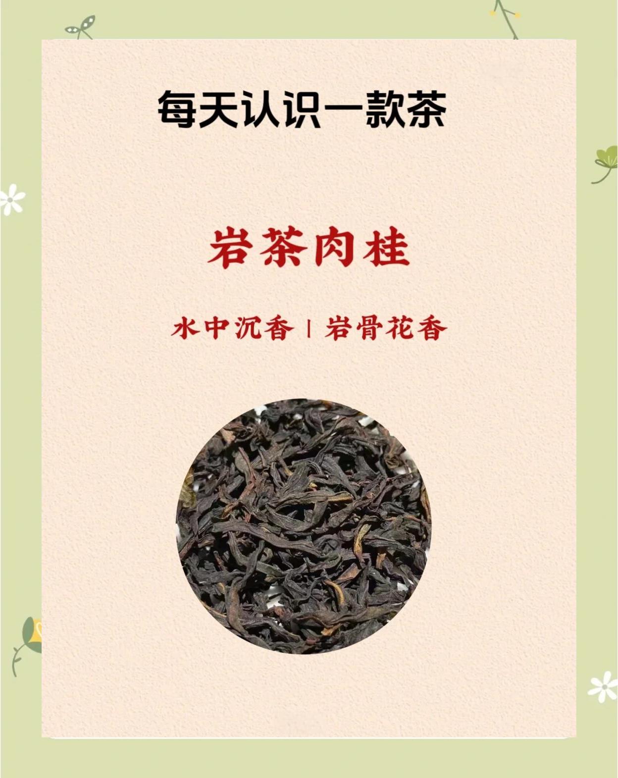 慧苑坑肉桂茶一斤多少钱(100克慧苑坑肉桂值多少钱)