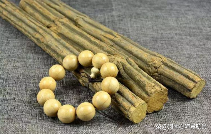 真正的降龙木图片(真正的降龙木图片 拐杖)