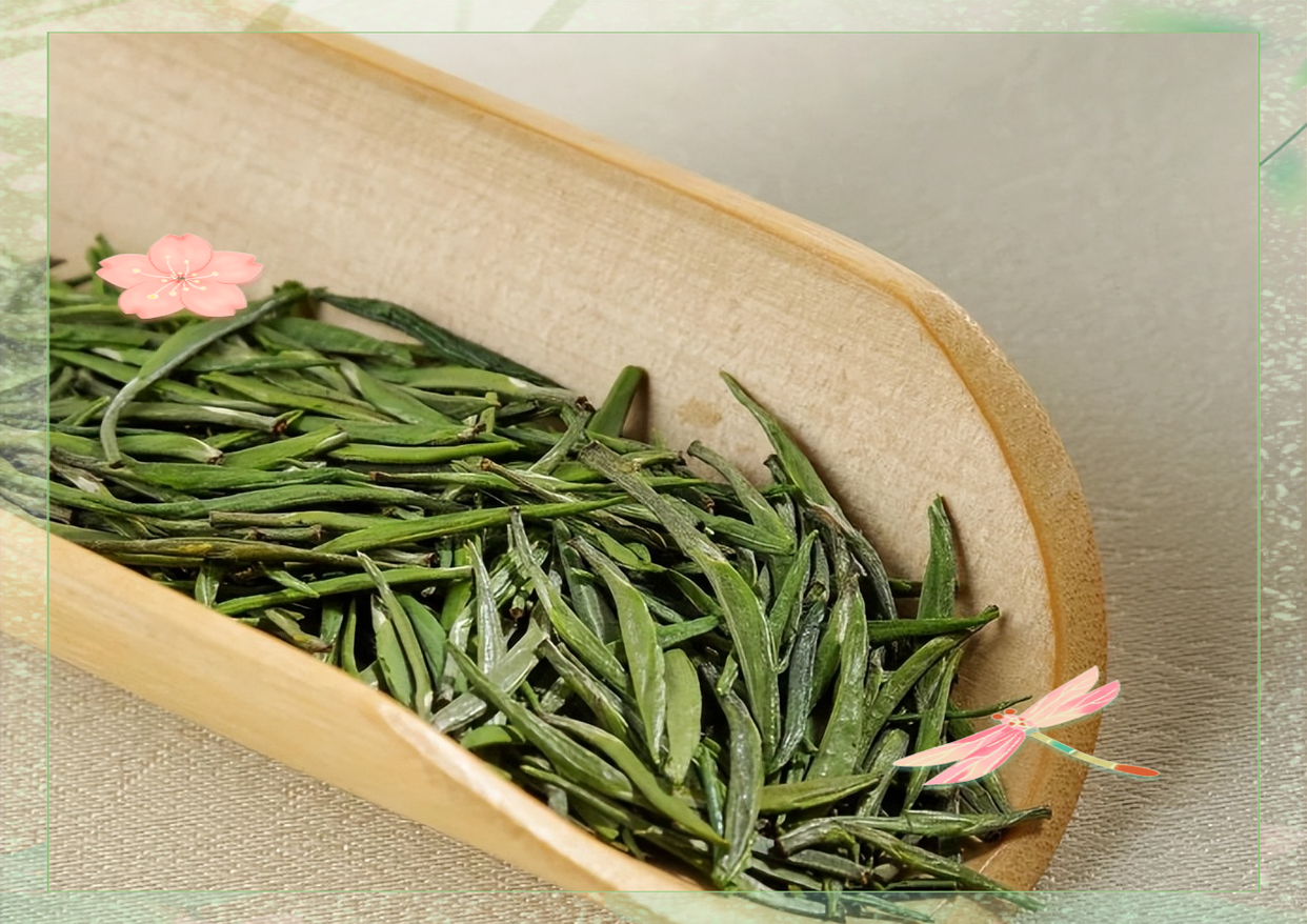 陈茶和新茶的区别(陈茶和新茶的区别在哪里)