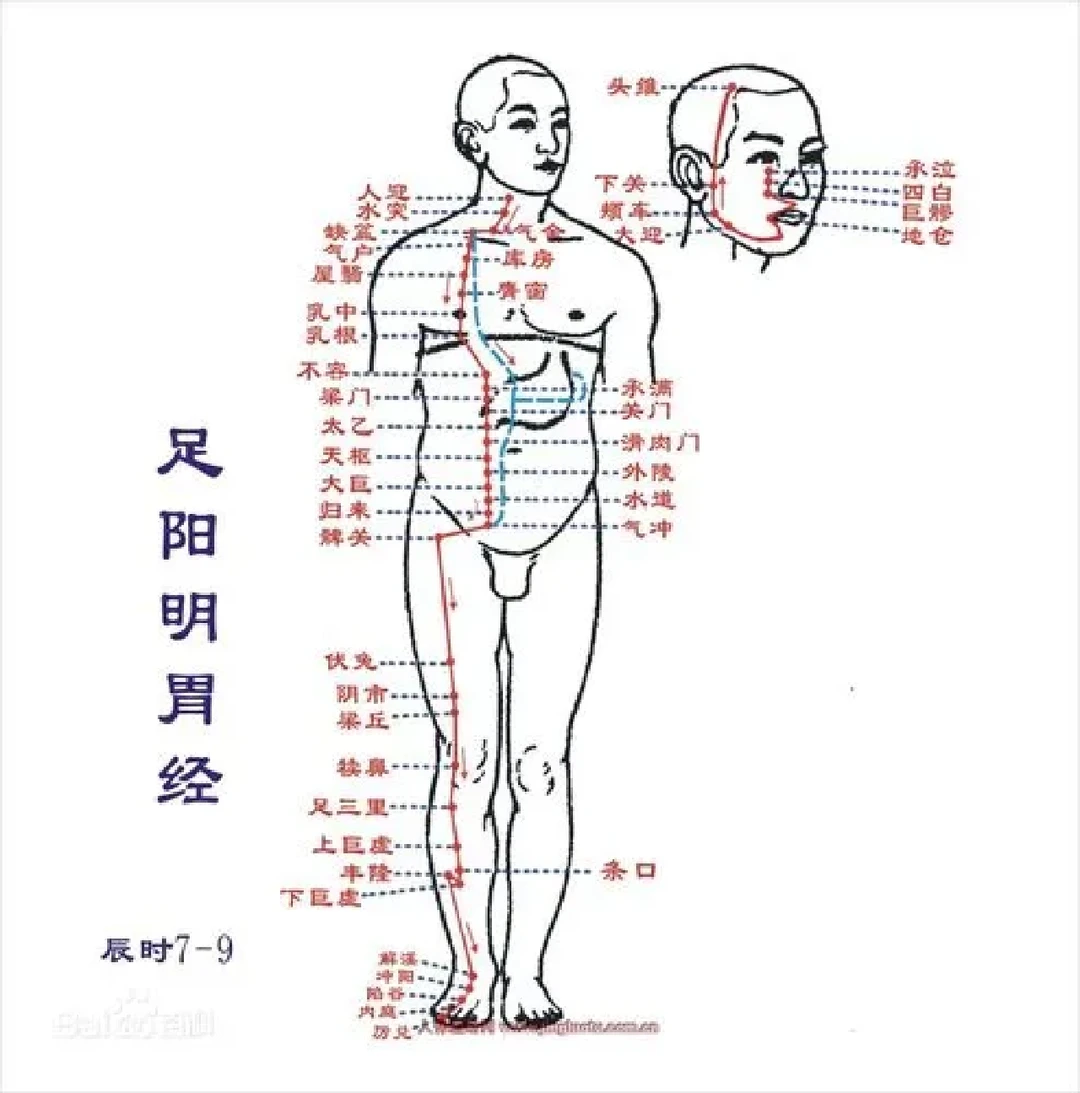 条口的准确位置图(条口的准确位置图片及功效) 条口的准确位置图(条口的准确位置图片及功效)