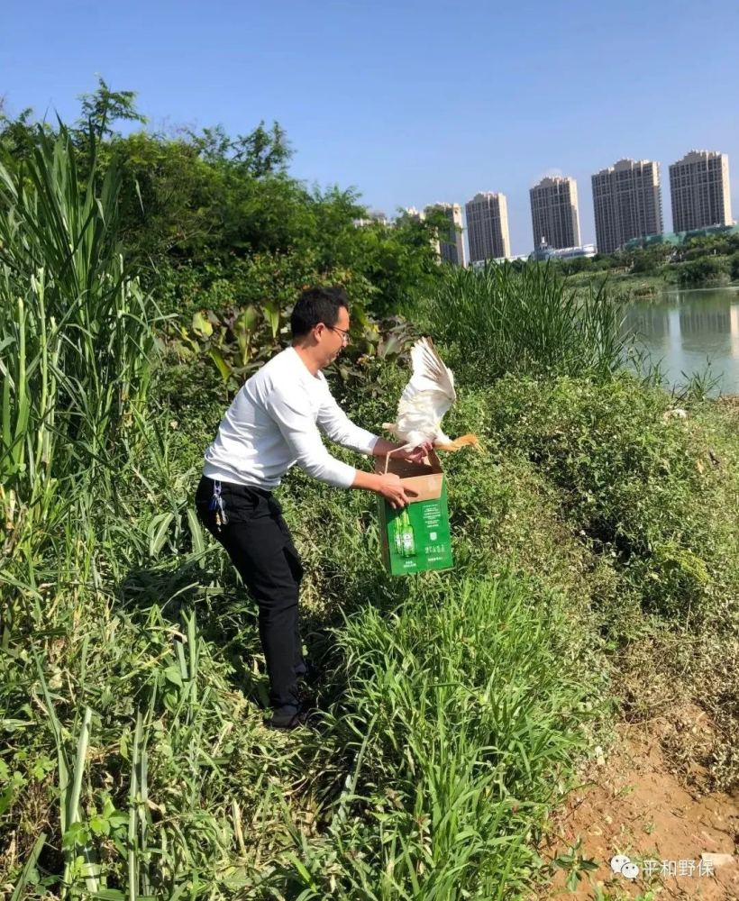 种放(种族歧视)