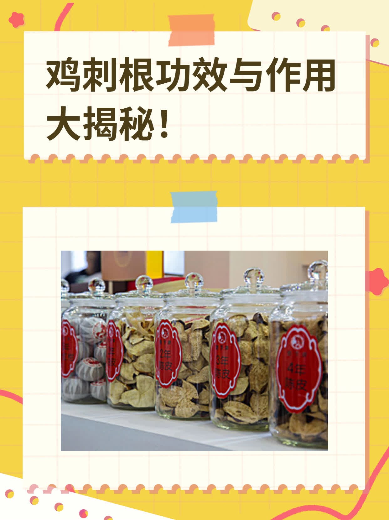 鸡头根的功效与作用(鸡头根的功效与作用是什么)