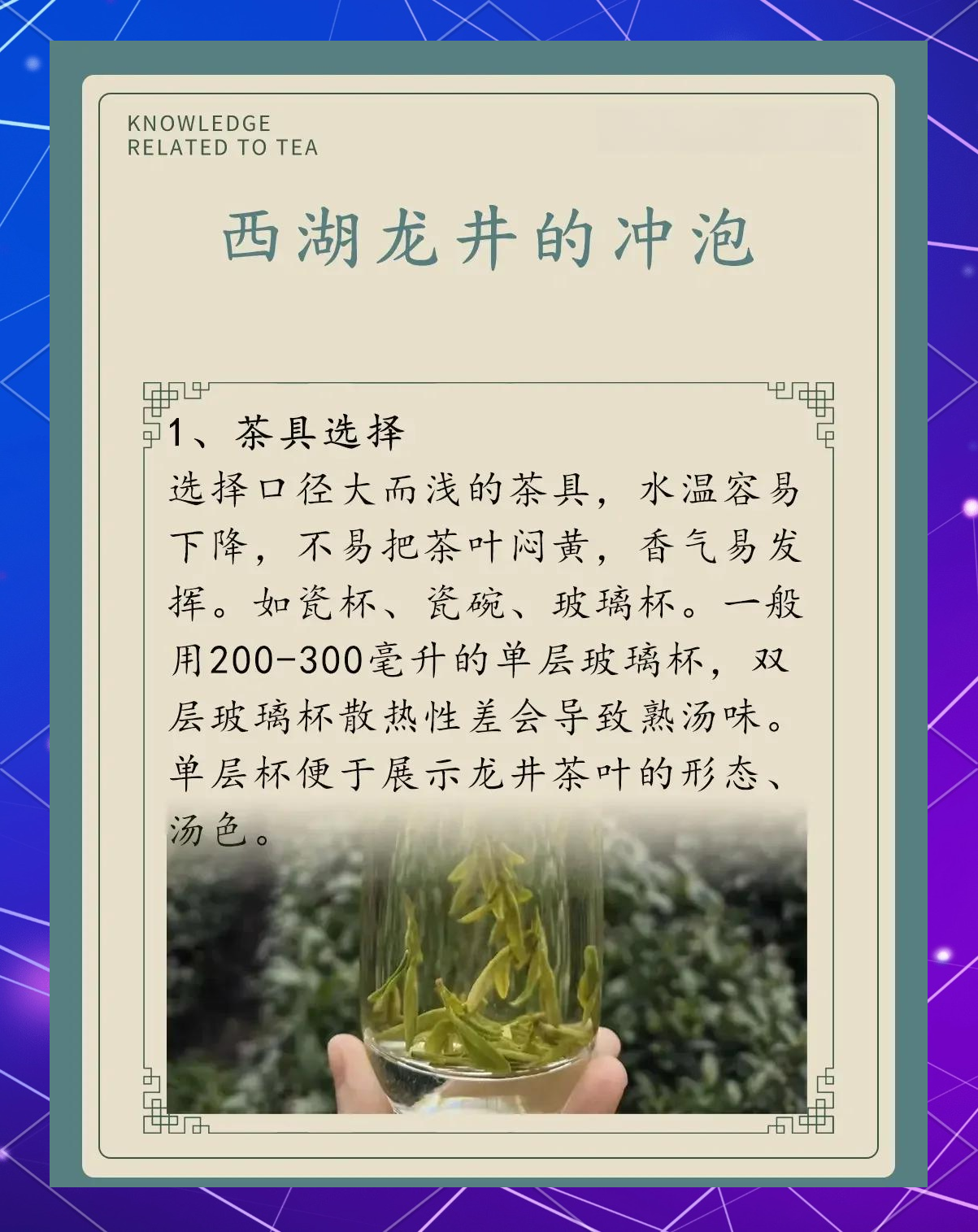 龙井的功效与作用(碧螺春的功效与作用)