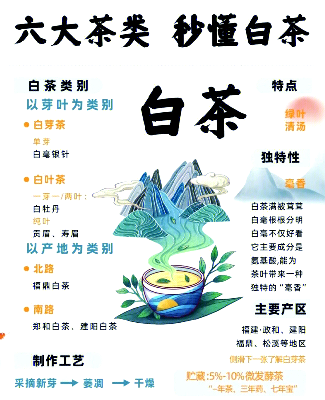 白茶品种(白茶品种等级排名)