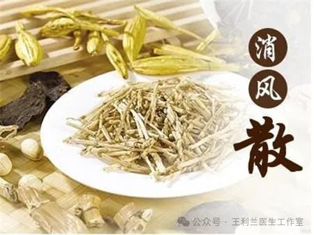 四物消风饮(四物消风饮方歌)
