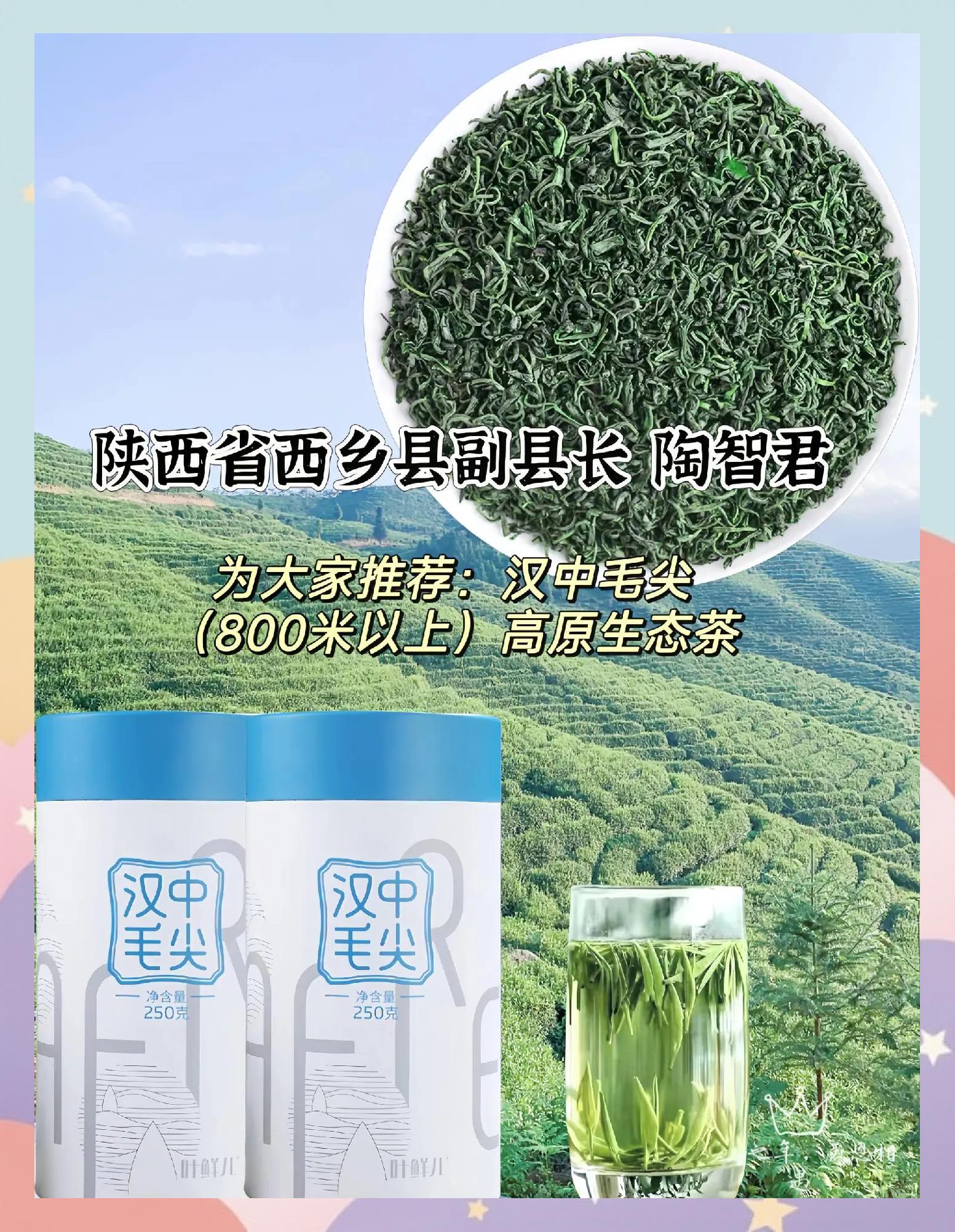 汉中仙毫属于什么档次(汉中仙毫最出名三个牌子)