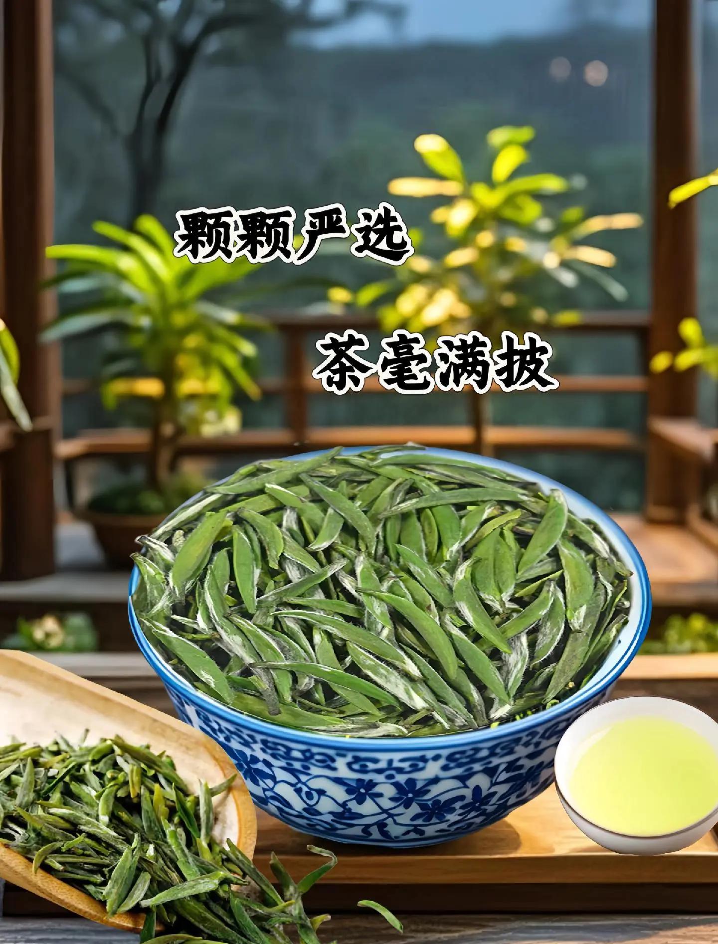 汉中仙毫属于什么档次(汉中仙毫最出名三个牌子)