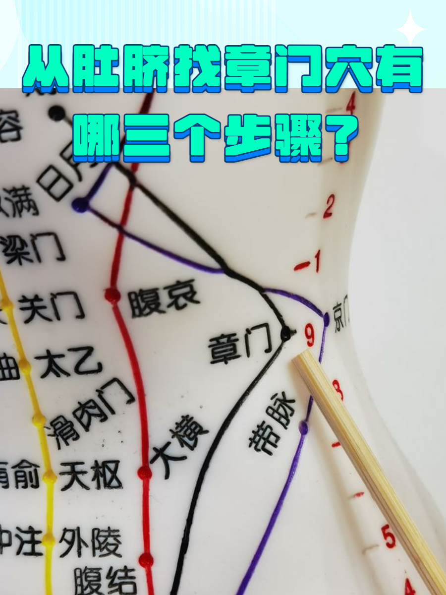 梁门穴(梁门穴的位置与作用和功效)