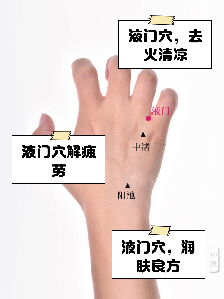 风门准确位置图和功效(风门的准确位置图和功效)