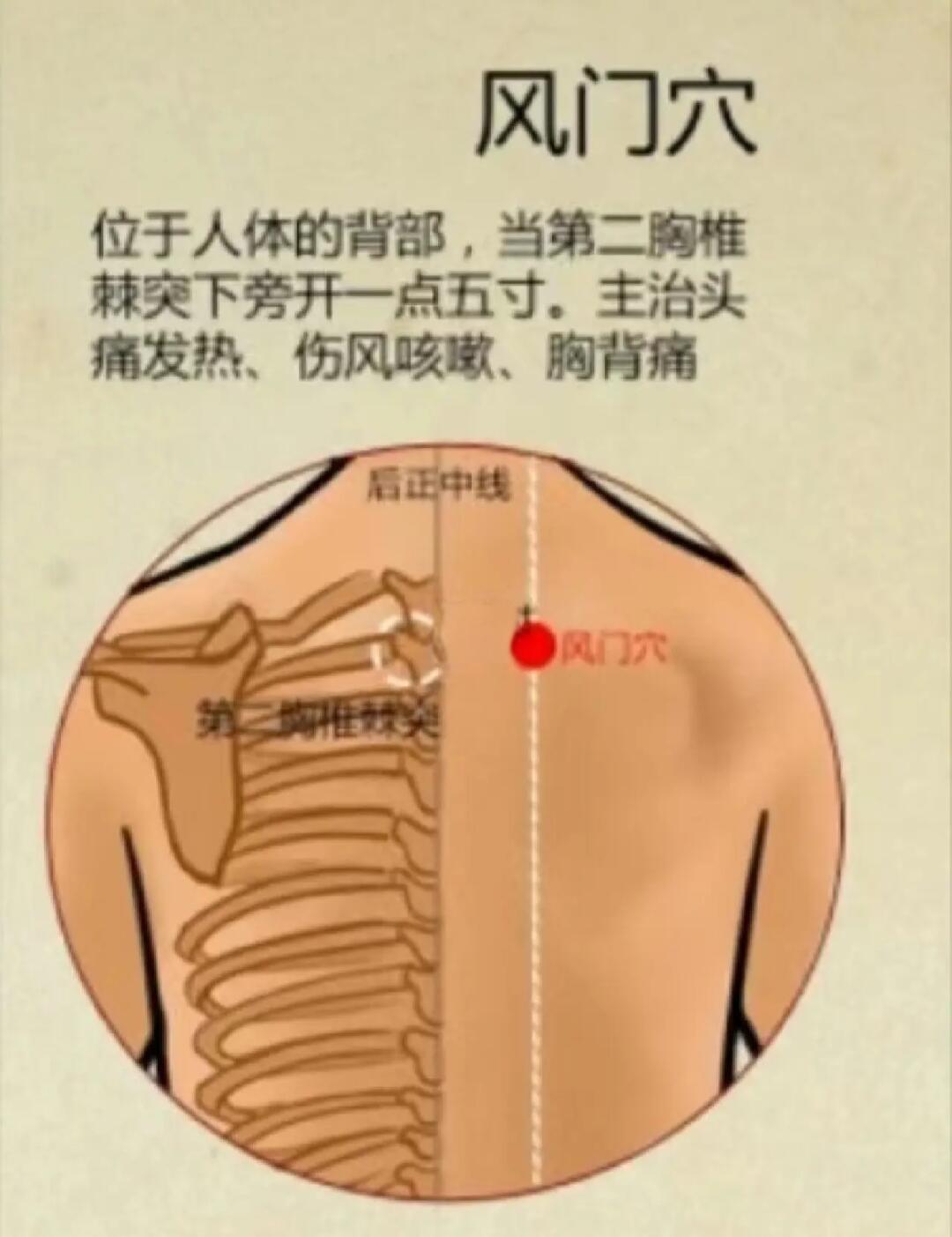 风门准确位置图和功效(风门的准确位置图和功效)