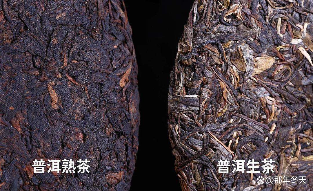 普洱茶生茶好还是熟茶好(普洱茶生茶好还是熟茶好价钱哪个高) 普洱茶生茶好还是熟茶好(普洱茶生茶好还是熟茶好价钱哪个高)