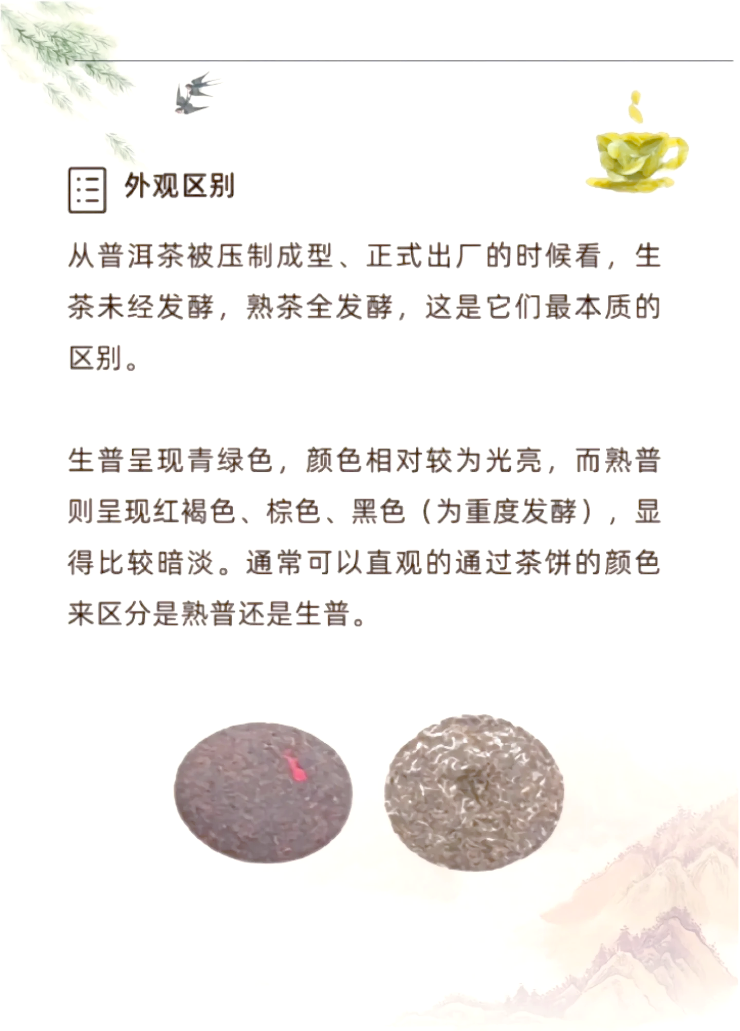 普洱属于什么红茶还是绿茶(普洱属于什么红茶还是绿茶呢)