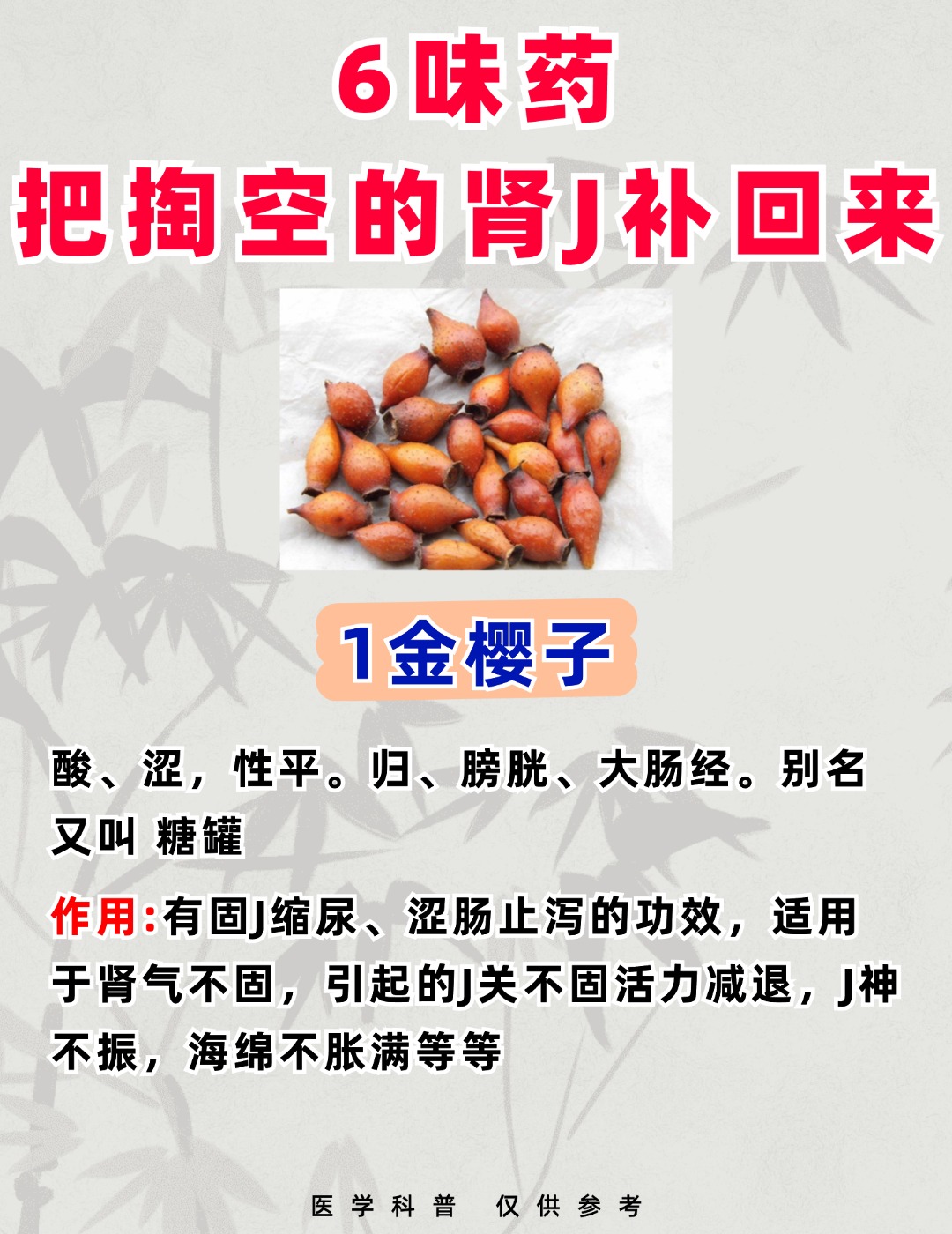 青春宝的功效与作用(青春宝的作用及功能主治) 青春宝的功效与作用(青春宝的作用及功能主治)