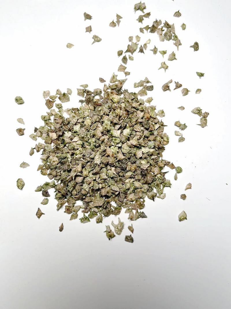 蒺藜图片(沙苑蒺藜图片)