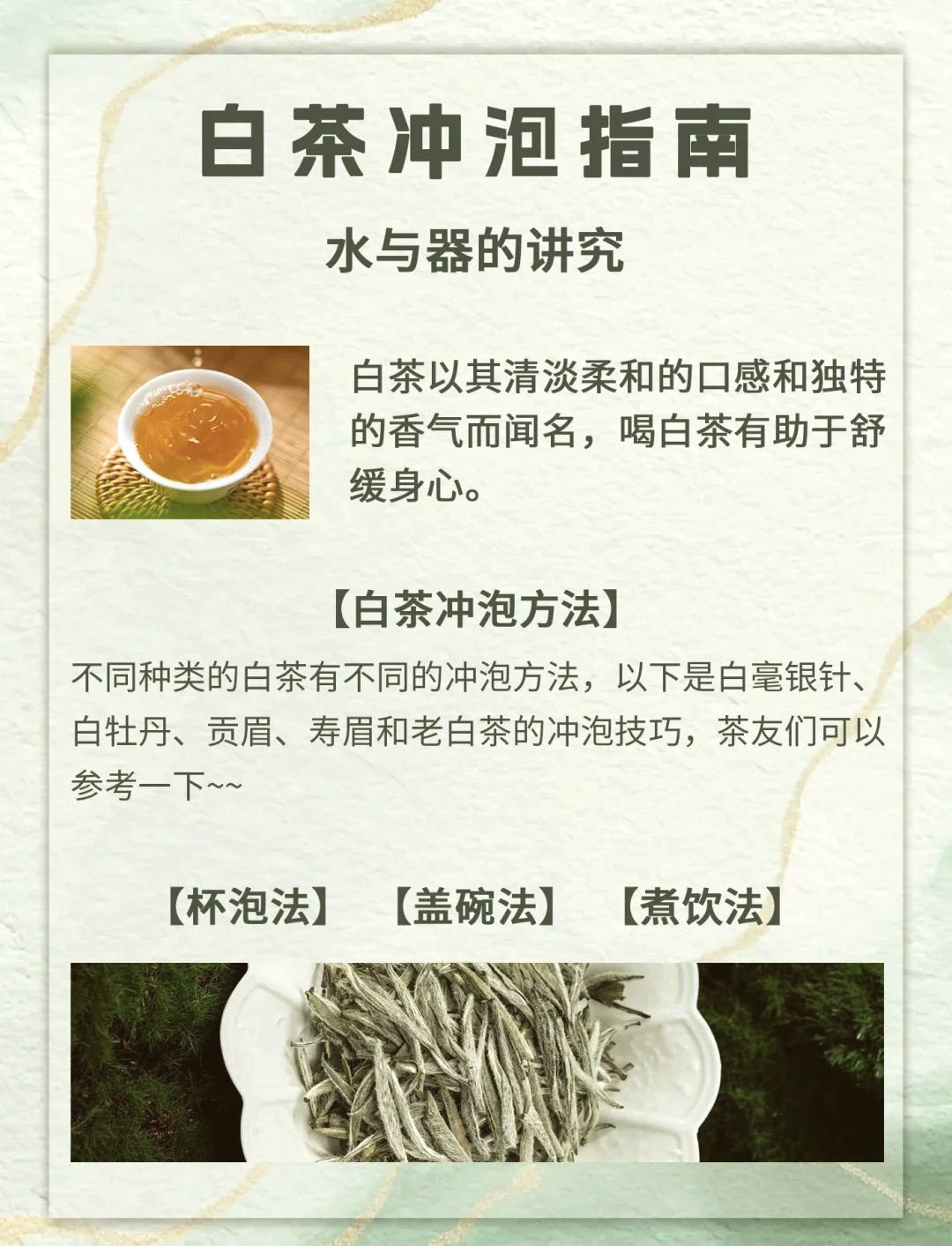 白茶暗示啥意思(被说白茶表示什么)