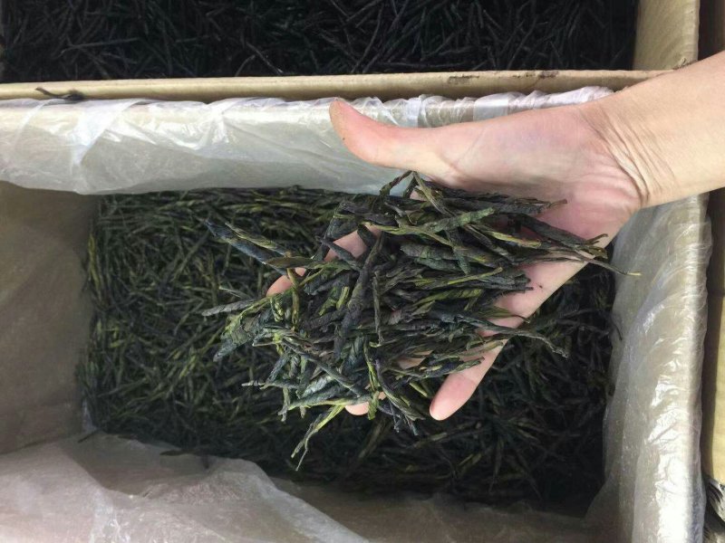 苦丁茶产地(贵州苦丁茶产地)