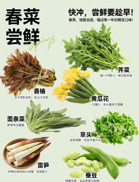 西洋菜功效和作用(西洋菜功效和作用图片)