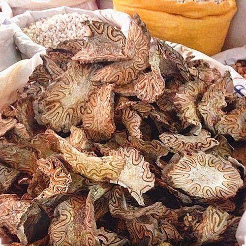 龙骨风图片(龙骨风图片和功效作用) 龙骨风图片(龙骨风图片和功效作用)