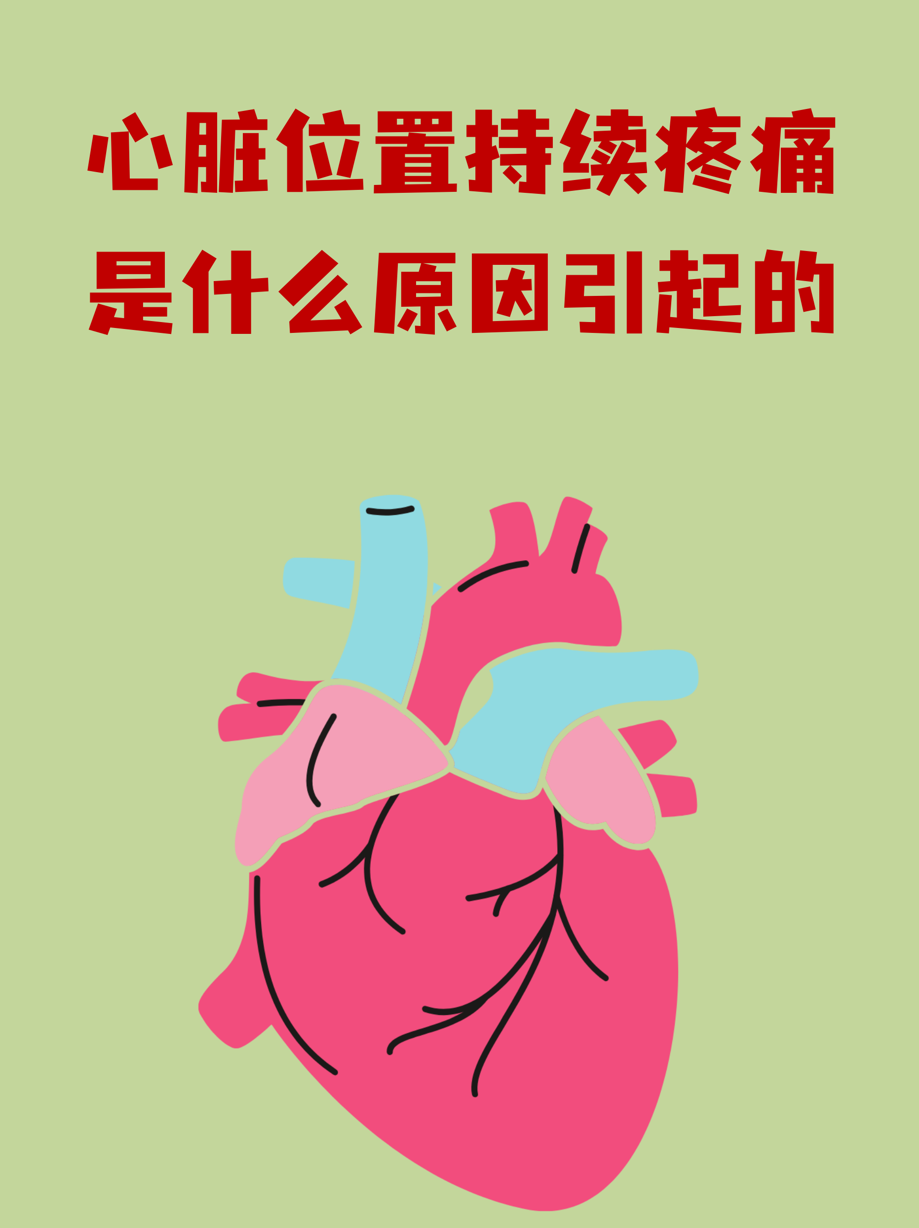 心脏的位置图片(心脏的位置图片 解剖图)