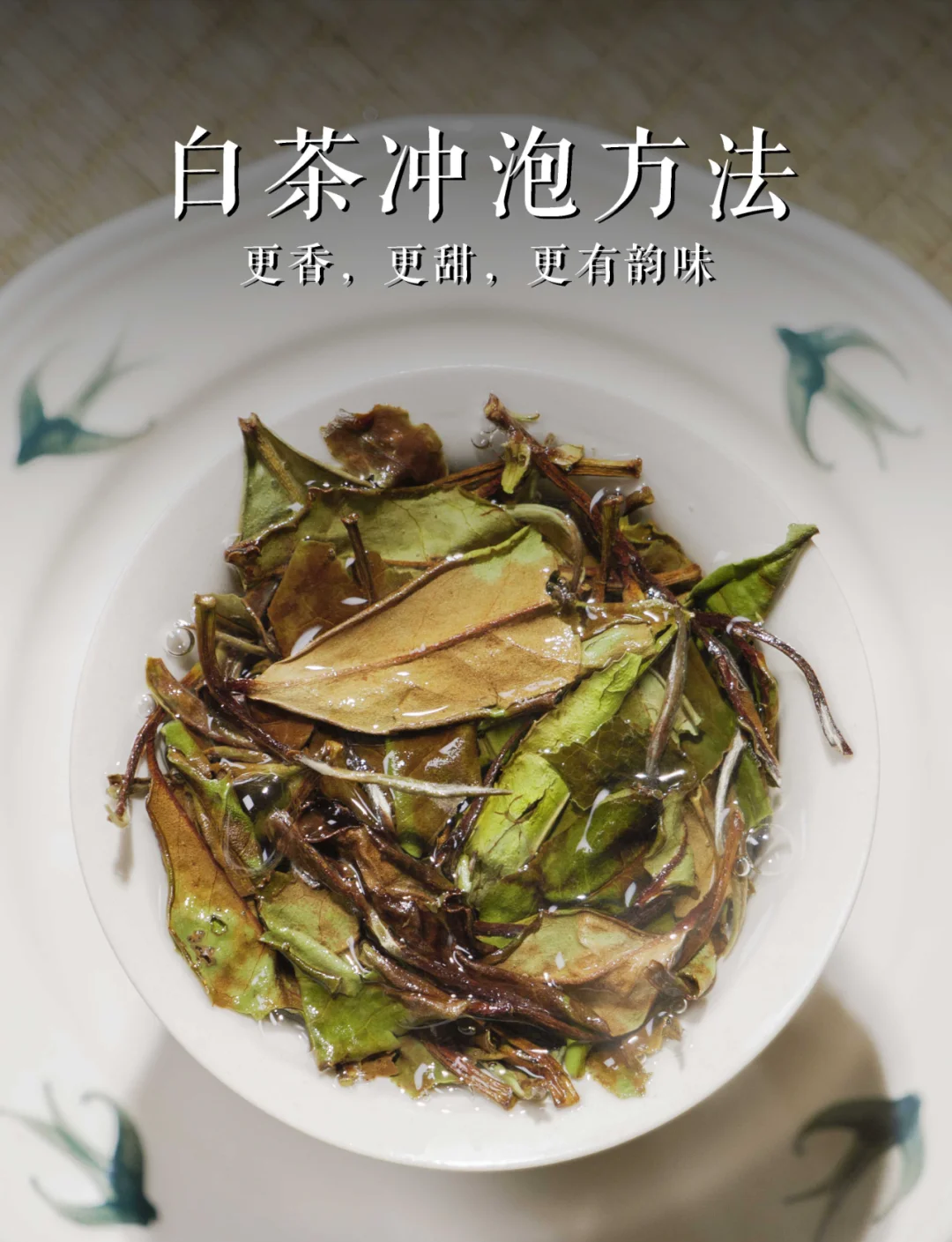 怎样喝白茶才是正确的(白茶怎么喝才是正确喝法)