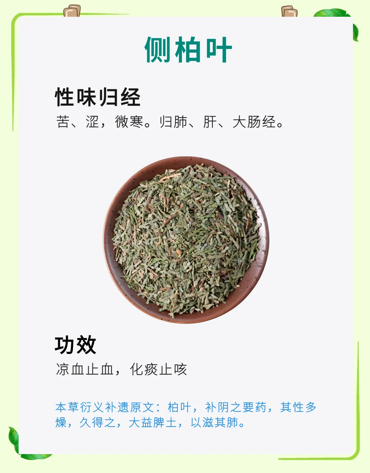 止咳草的功效与作用(止咳草的功效与作用图片)