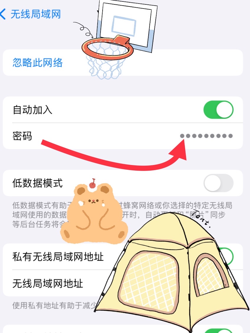 苹果手机wi-fi密码怎么看密码(iphone wifi密码怎么查看)