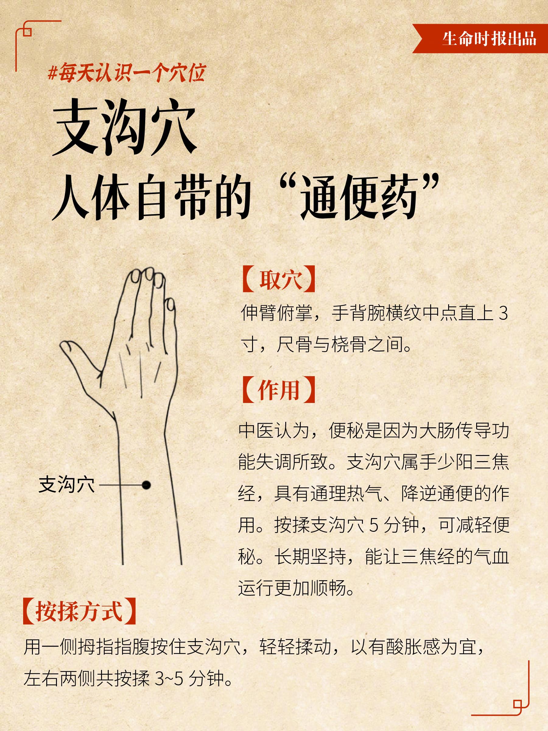 支正的准确位置图(支正的准确位置图和作用视频)