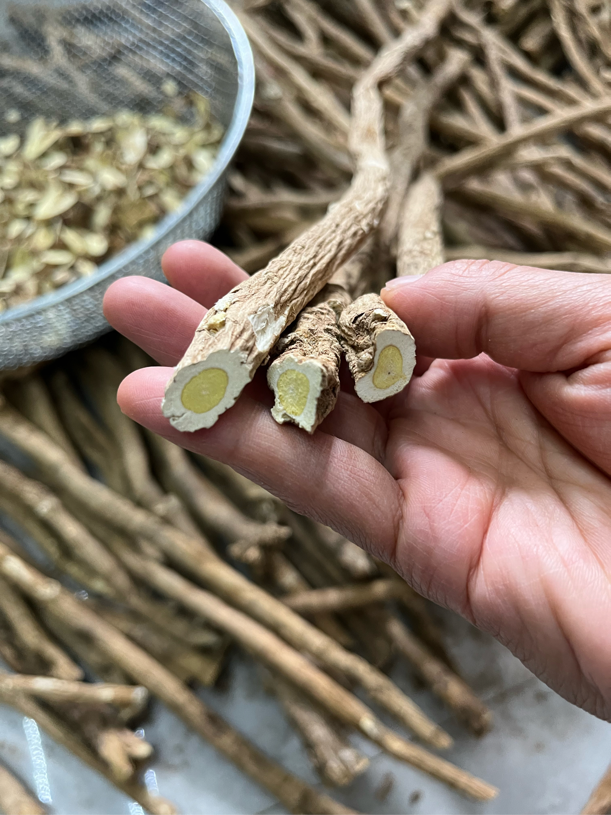 土箭芪(土箭芪图片)