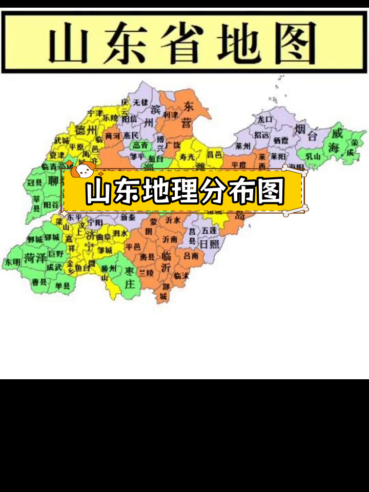 山东省各市(山东省各市面积)