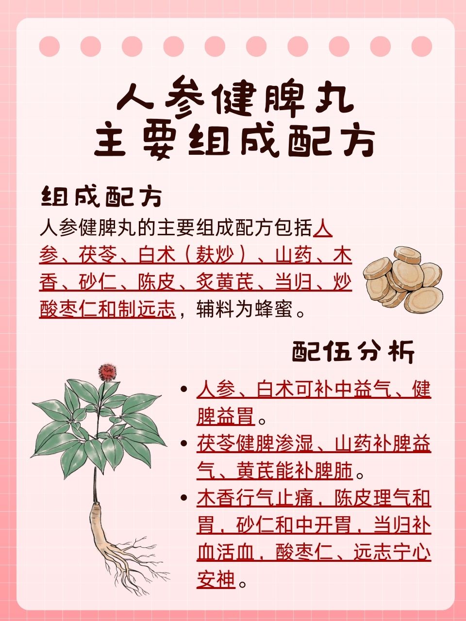 健脾丸配方组成(健脾丸配方组成用量多少克) 健脾丸配方组成(健脾丸配方组成用量多少克)