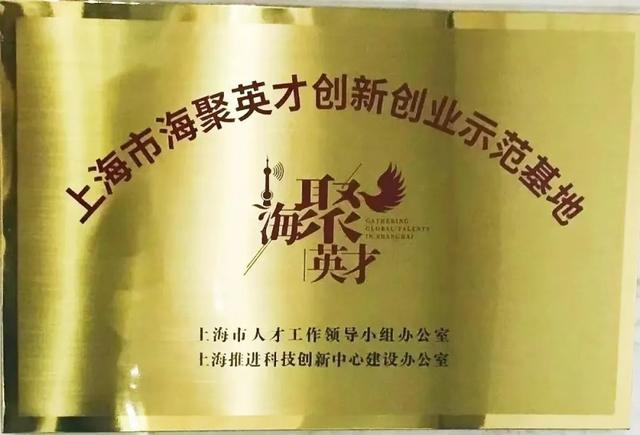 新上海人才网(新上海人才网官网)