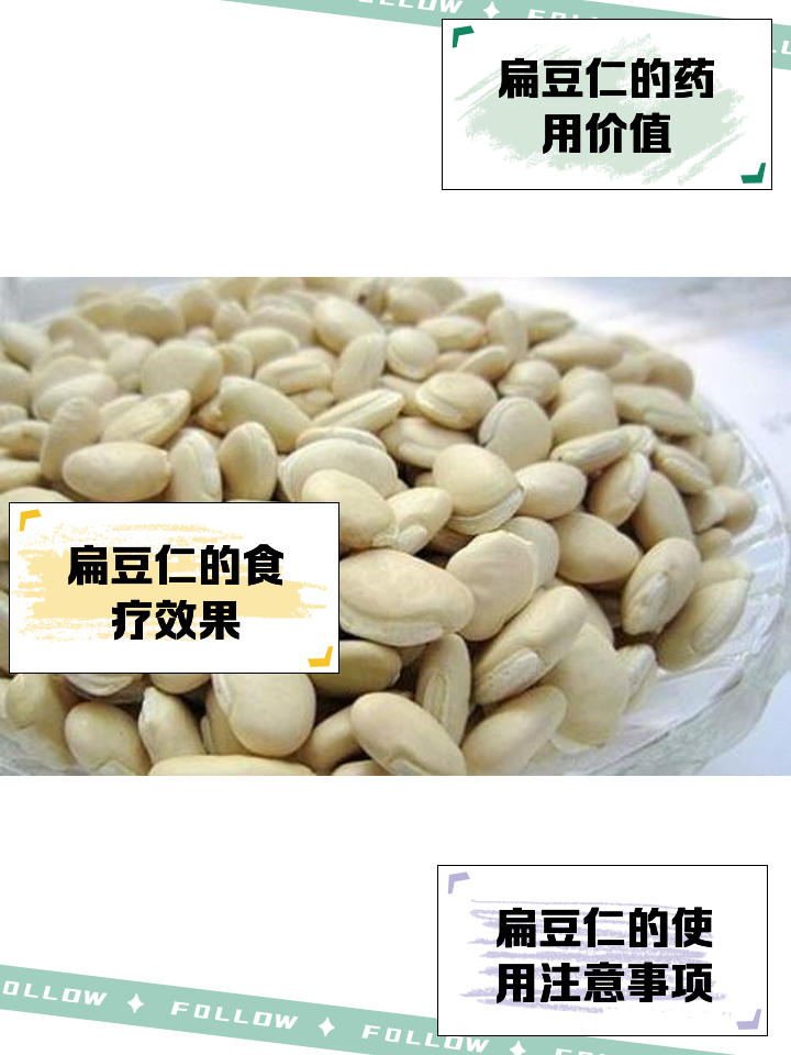 扁豆的功效与作用禁忌(扁豆的功效与作用禁忌和副作用)
