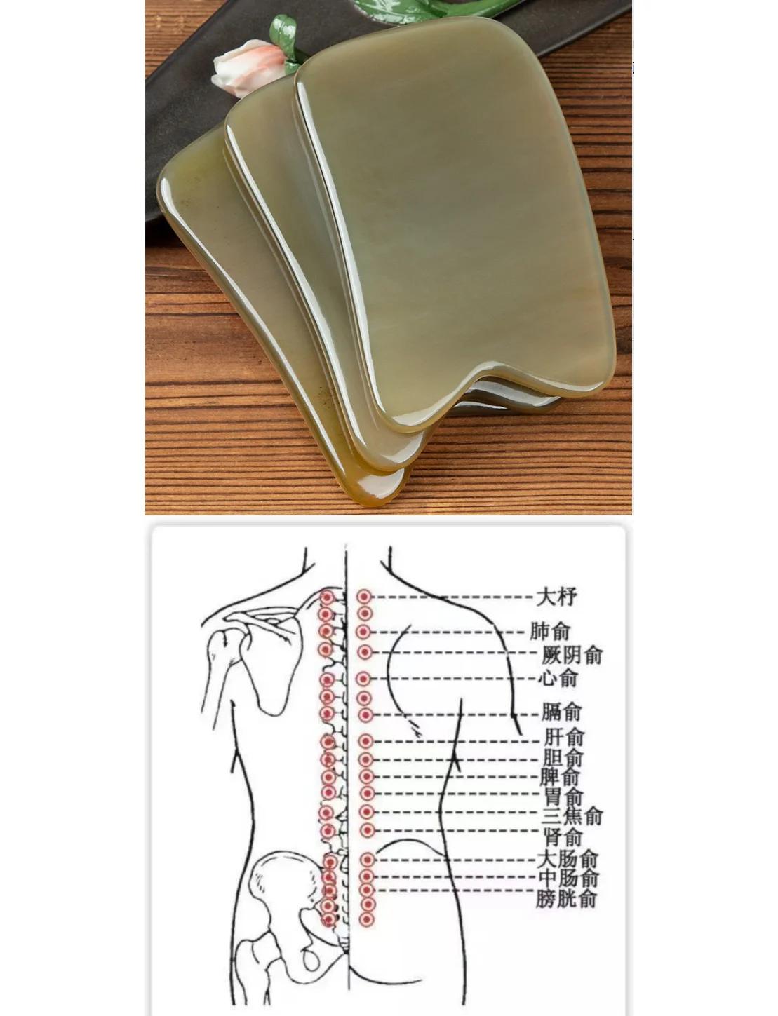 膀胱俞的准确位置图和作用(膀胱俞准确位置图 图 放大)