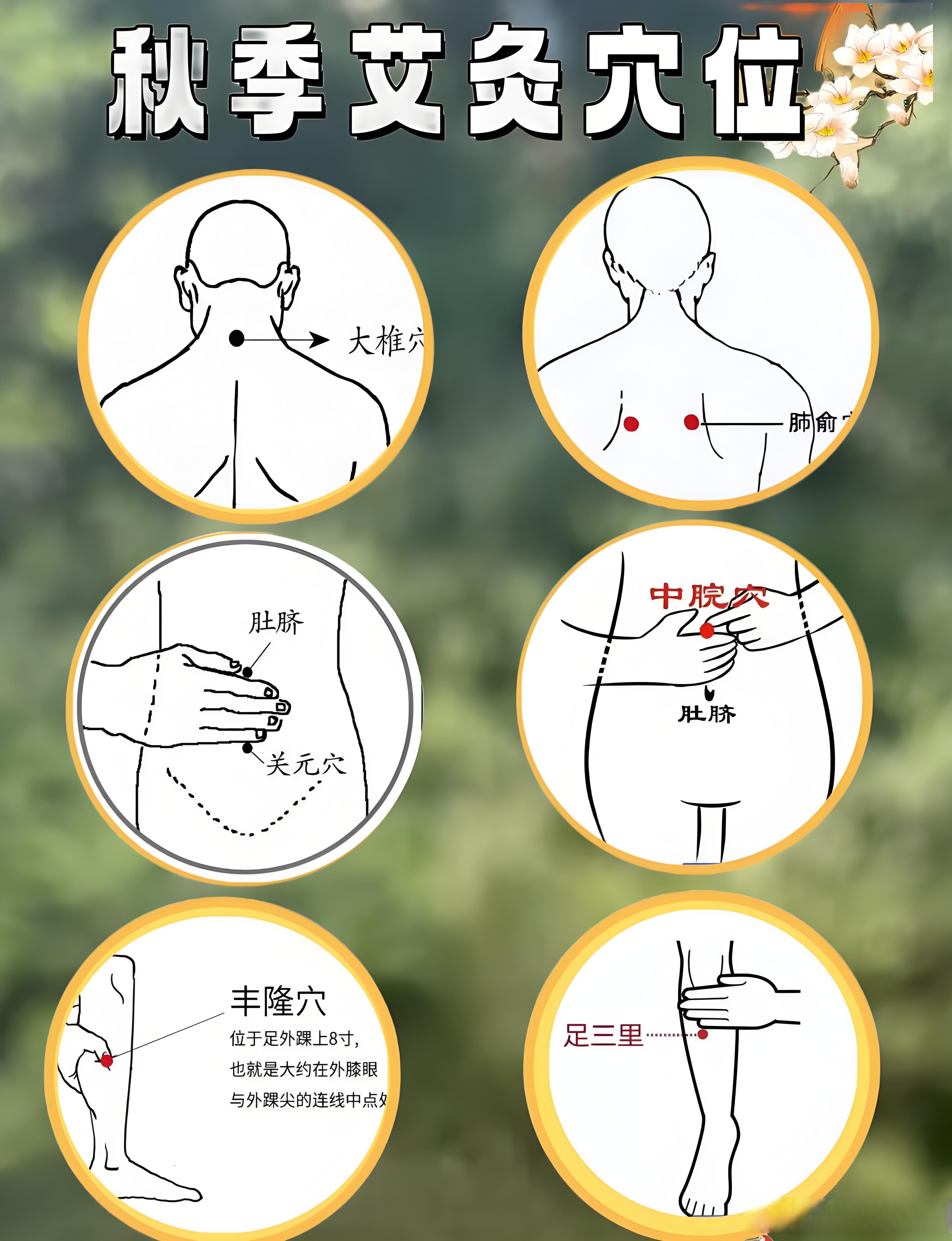 膀胱俞的准确位置图和作用(膀胱俞准确位置图 图 放大) 膀胱俞的准确位置图和作用(膀胱俞准确位置图 图 放大)