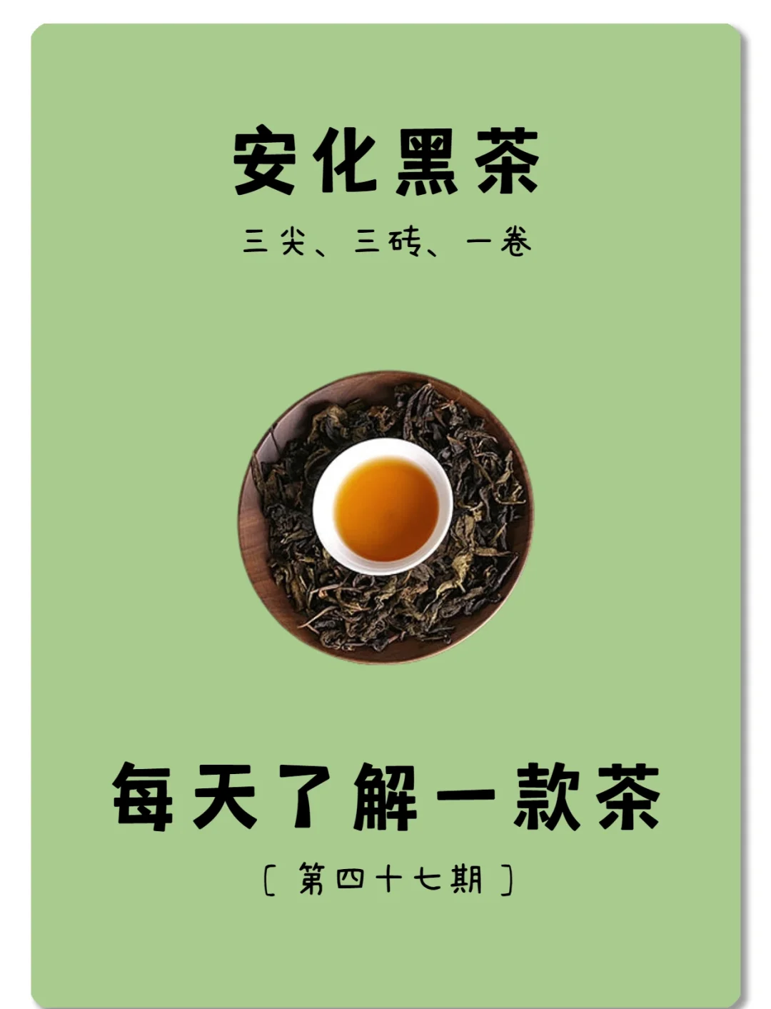安化黑茶的正确泡法(安化黑茶的冲泡方法和步骤) 安化黑茶的正确泡法(安化黑茶的冲泡方法和步骤)
