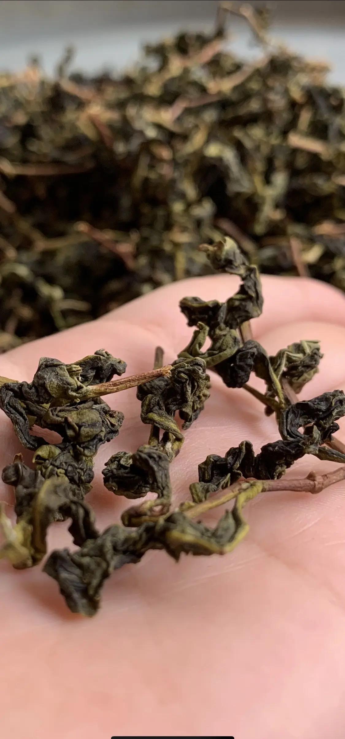 铁观音是凉性还是热性(铁观音是凉性还是热性?适合什么体质的人喝?) 铁观音是凉性还是热性(铁观音是凉性还是热性?适合什么体质的人喝?)