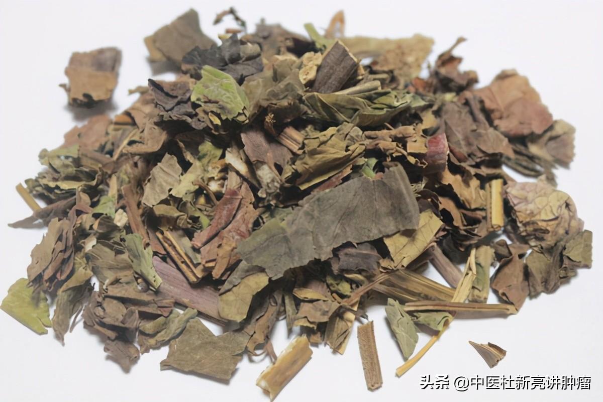 石见穿图片大全(石见穿图片高清大图) 石见穿图片大全(石见穿图片高清大图)