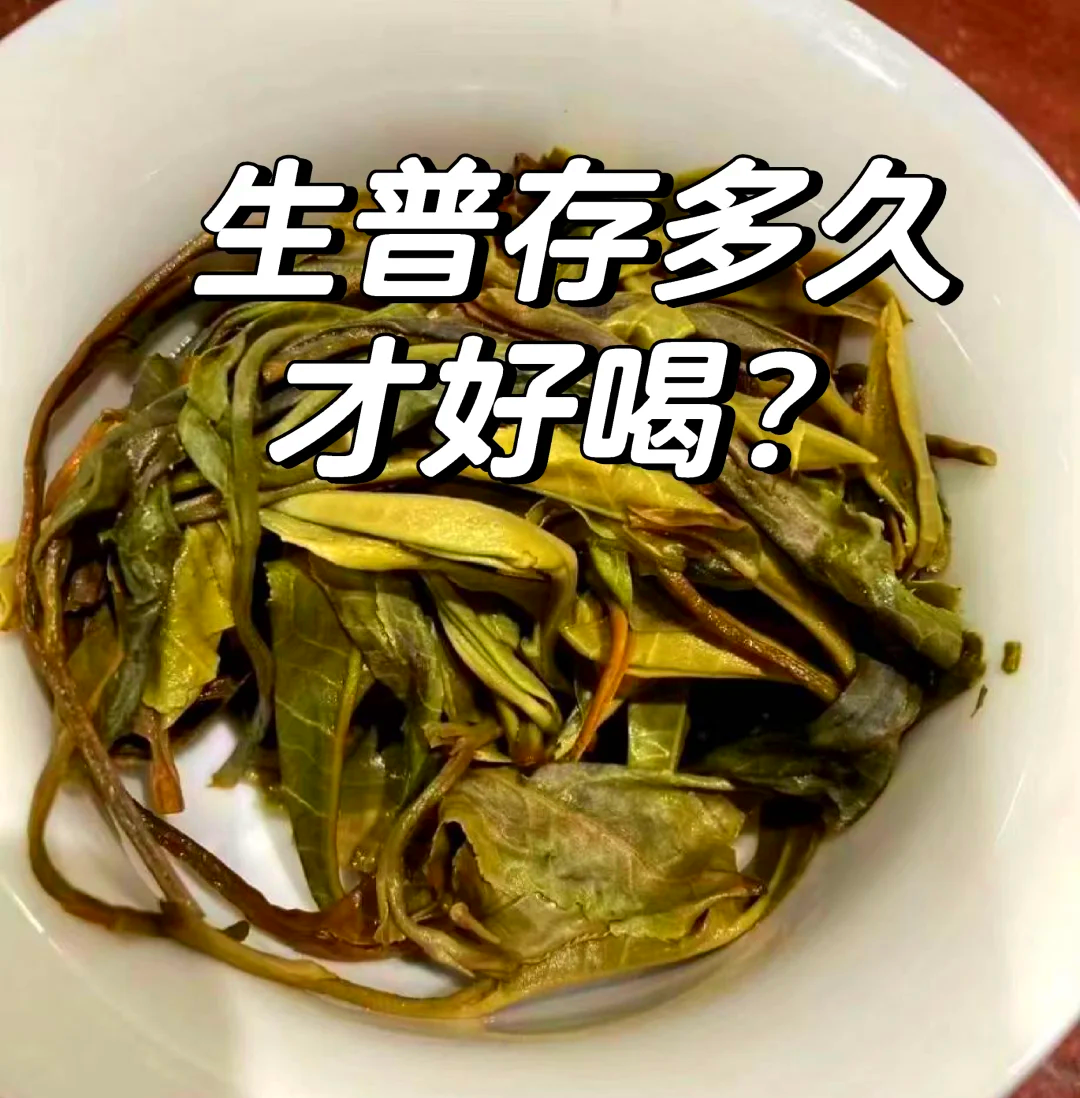 普洱茶时间越长越好吗(普洱茶放了20年了还能喝吗) 普洱茶时间越长越好吗(普洱茶放了20年了还能喝吗)