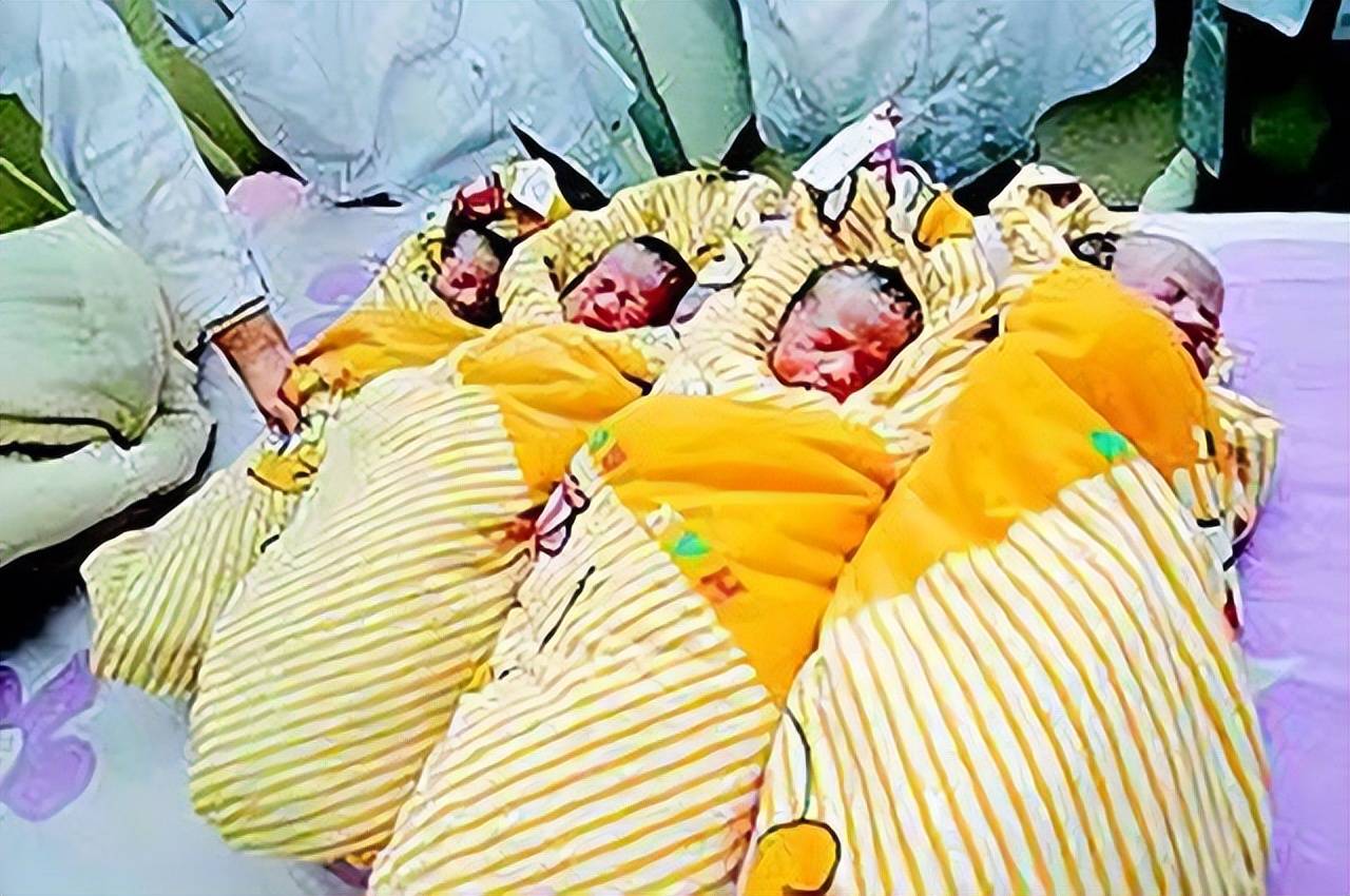 24岁产妇早产1女4男5胞胎(24岁产妇早产1女4男5胞胎几率) 24岁产妇早产1女4男5胞胎(24岁产妇早产1女4男5胞胎几率)