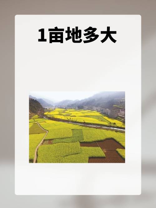 40公里等于多少米(040公里等于多少米) 40公里等于多少米(040公里等于多少米)