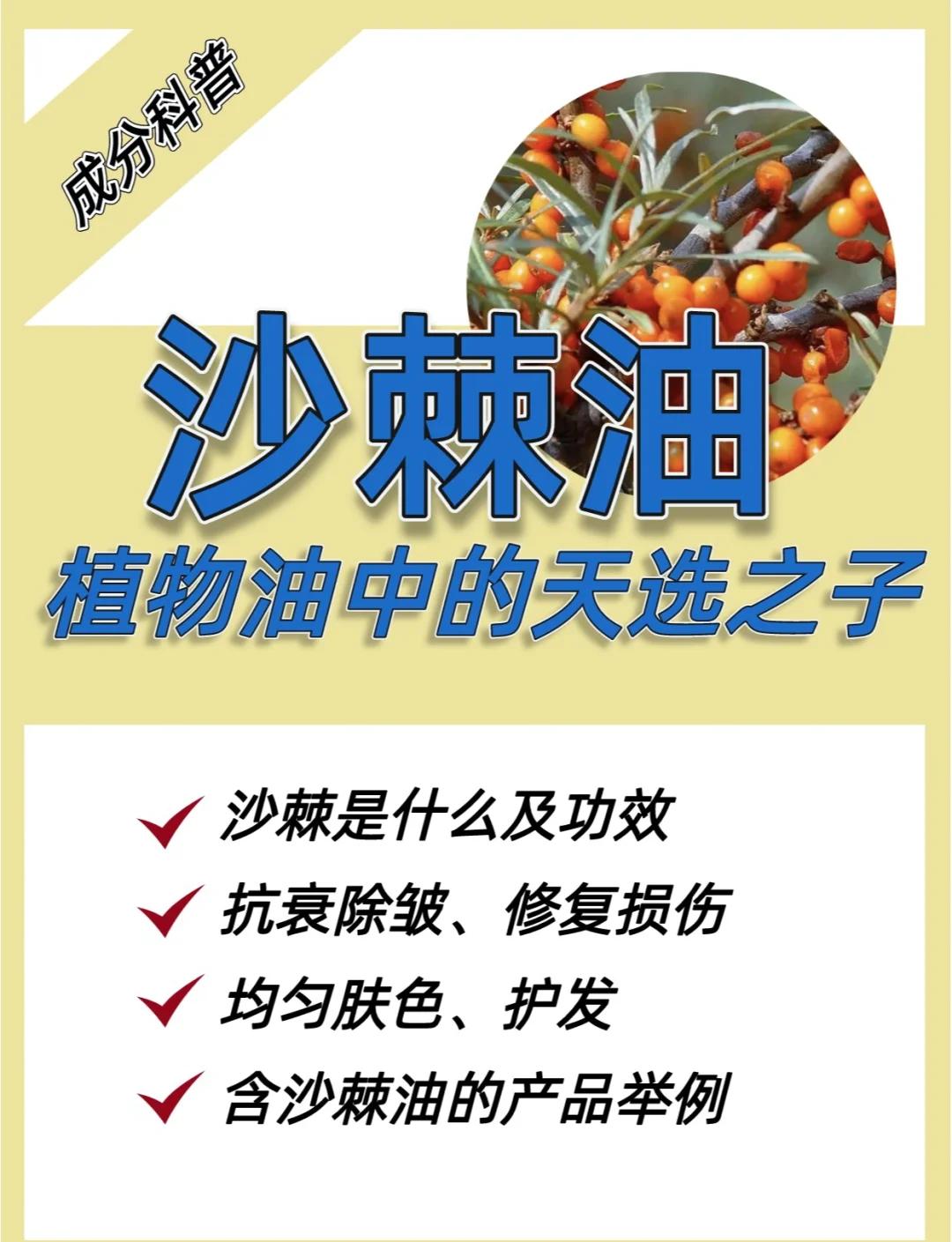 芥子油的功效与作用(芥子油的功效与作用原来有这么多)