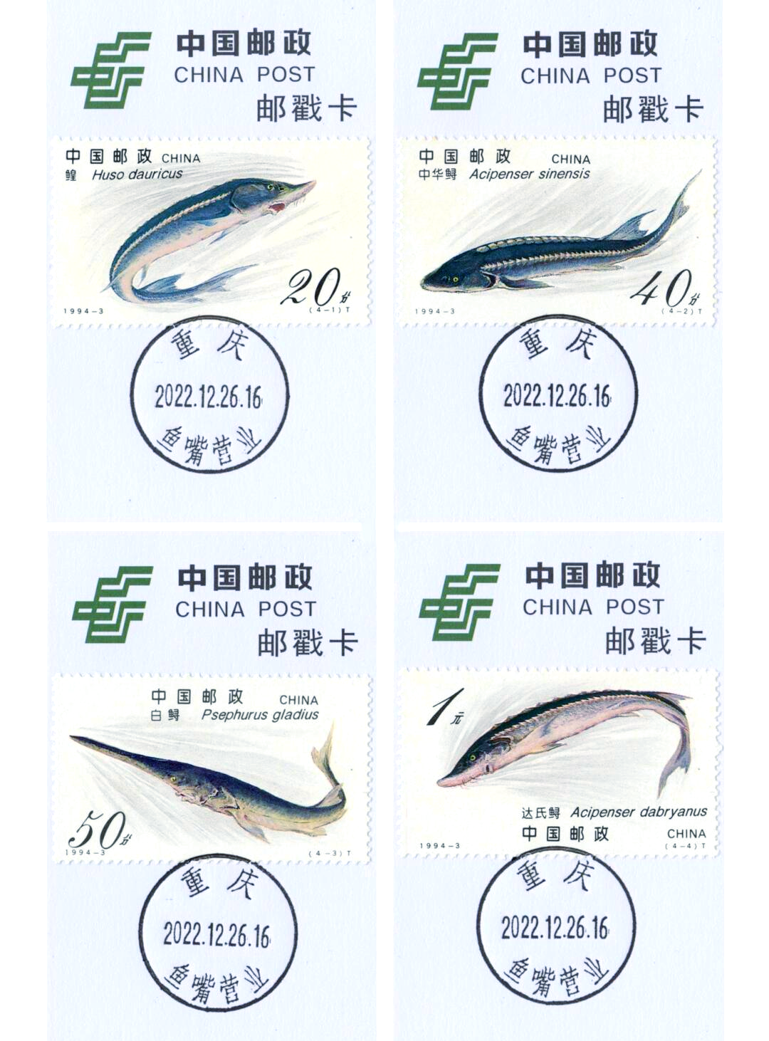 重庆邮政编码(重庆邮政编码是什么)