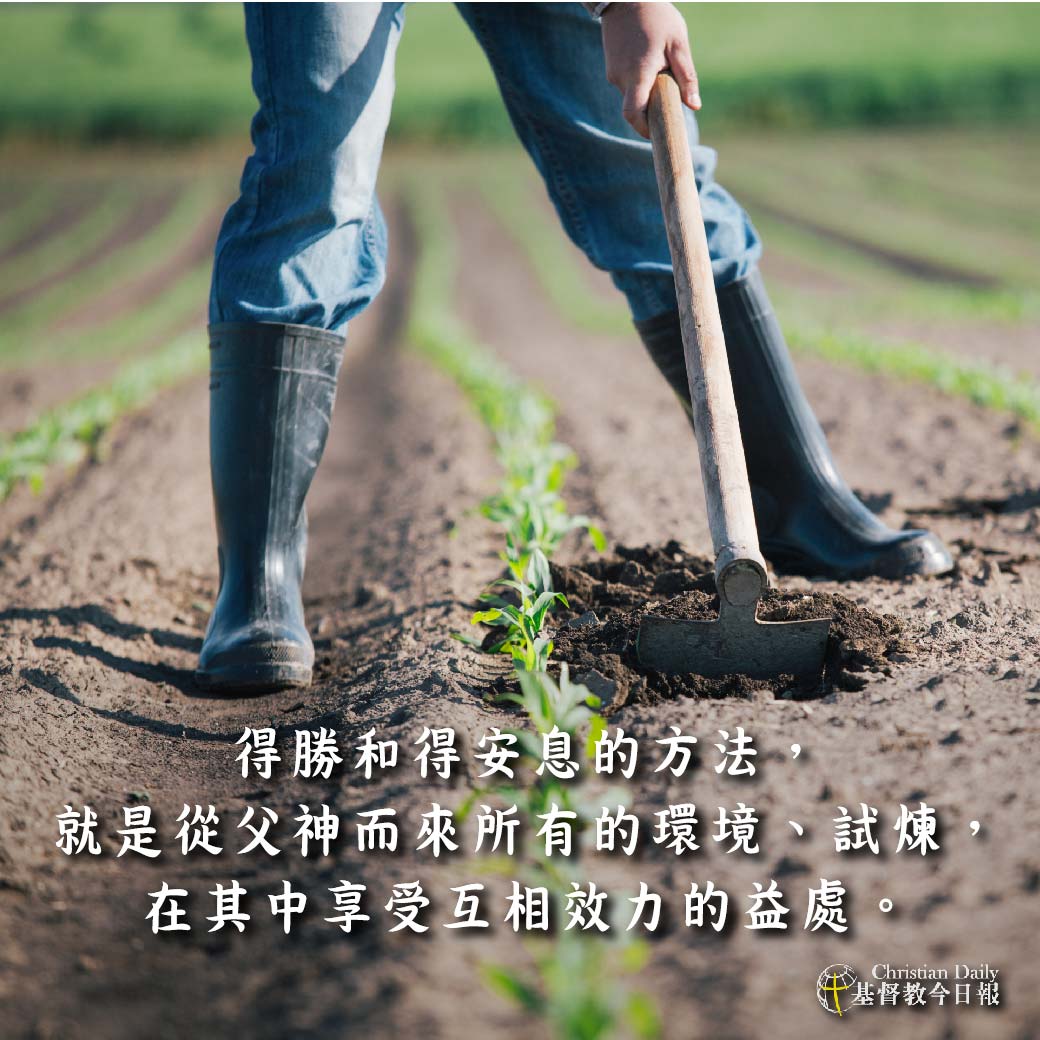 全球基督徒见证网(基督教全球见证分享视频)
