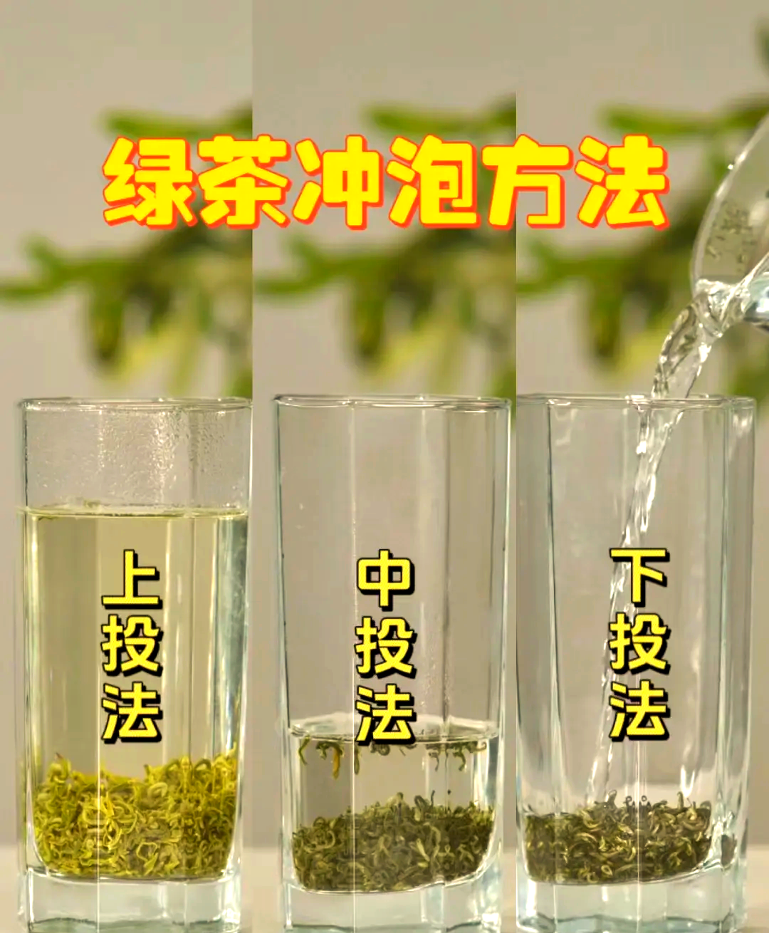 白毫银针冲泡方法(白毫银针年份越久越好吗) 白毫银针冲泡方法(白毫银针年份越久越好吗)