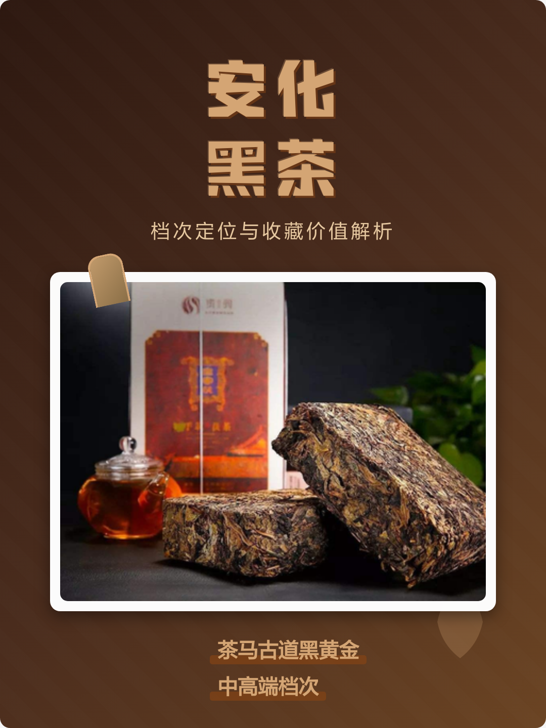 安化黑茶哪个牌子正宗(安化黑茶哪个牌子性价比高) 安化黑茶哪个牌子正宗(安化黑茶哪个牌子性价比高)