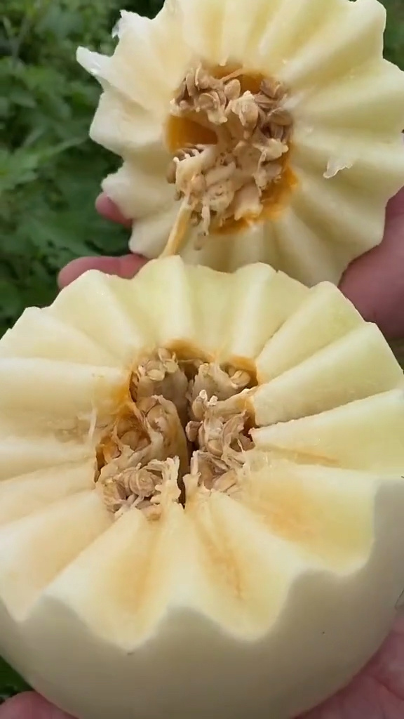 吃了甜瓜舌头发麻(为什么吃了甜瓜舌头发麻)