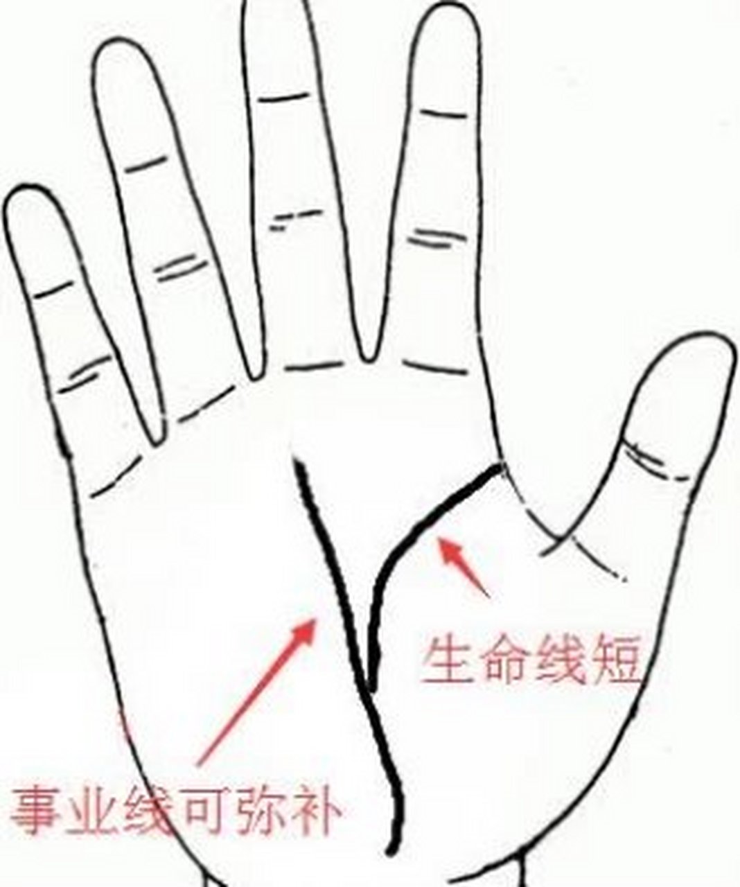 11种人容易短命(11种人容易短命视频播放)
