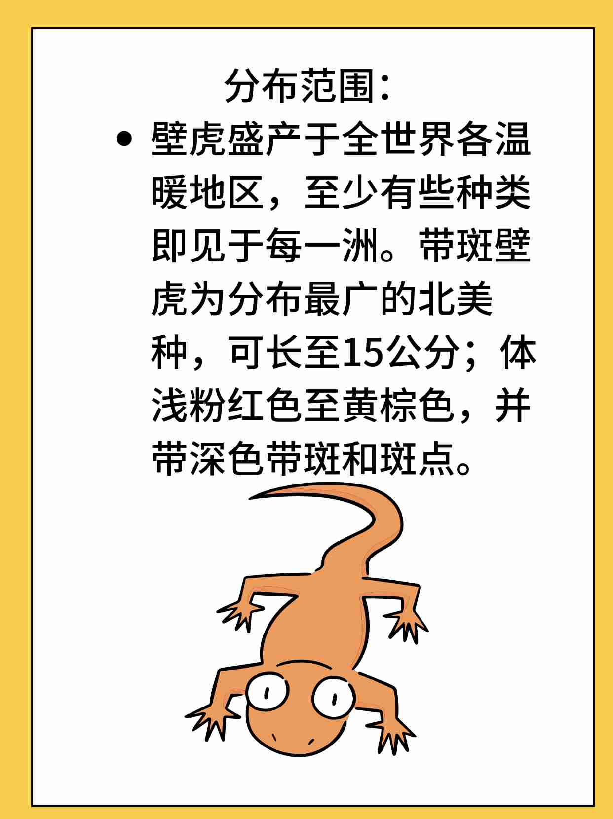 怎样驱赶壁虎(怎样驱赶壁虎最有效?温和方法和彻底驱赶方法有啥区别?)